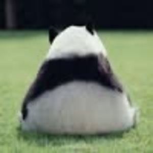 Meet your Posher, Han